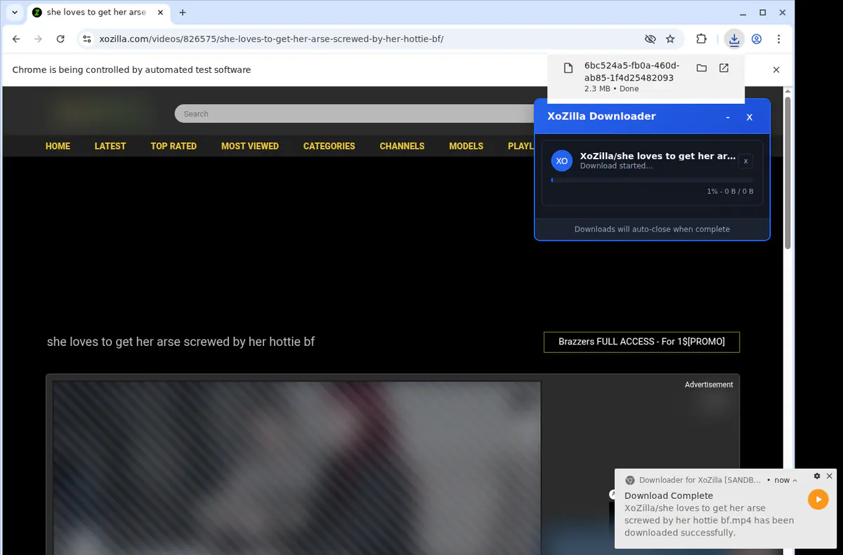 Xozilla Video Downloader browser extension screenshot 2
