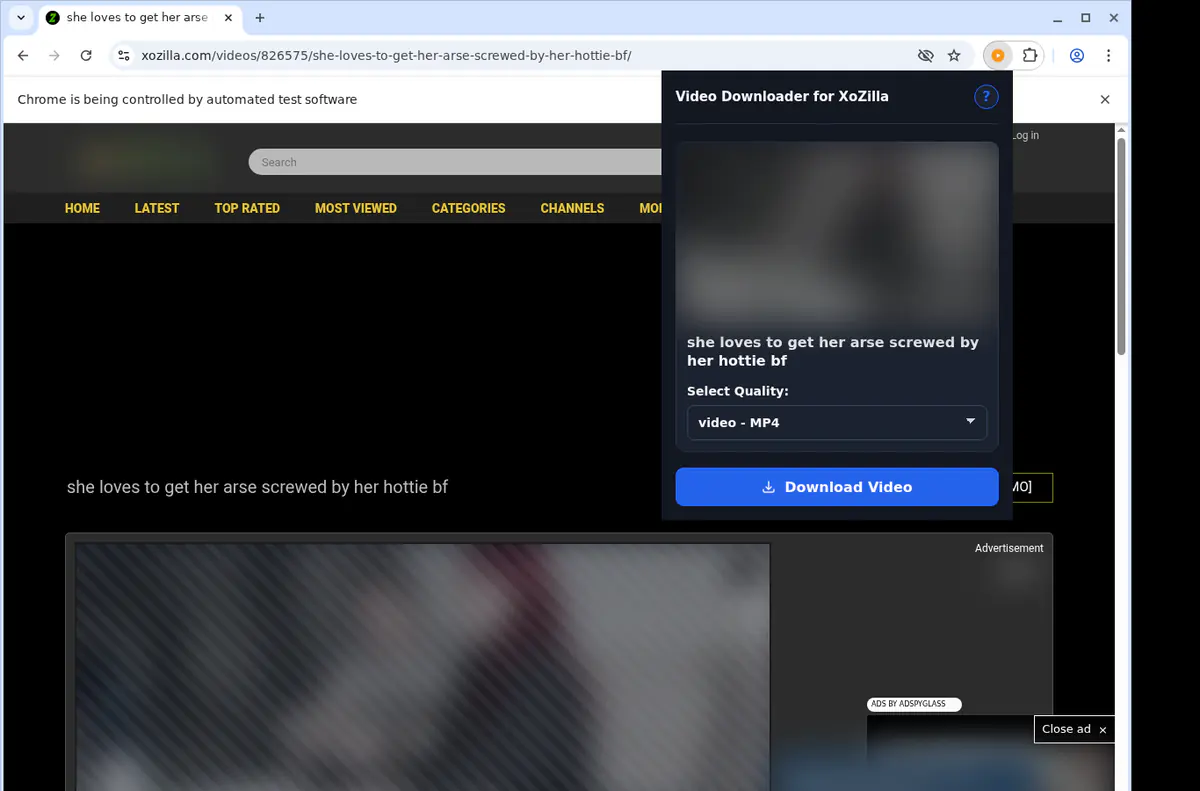 Xozilla Video Downloader browser extension screenshot 3